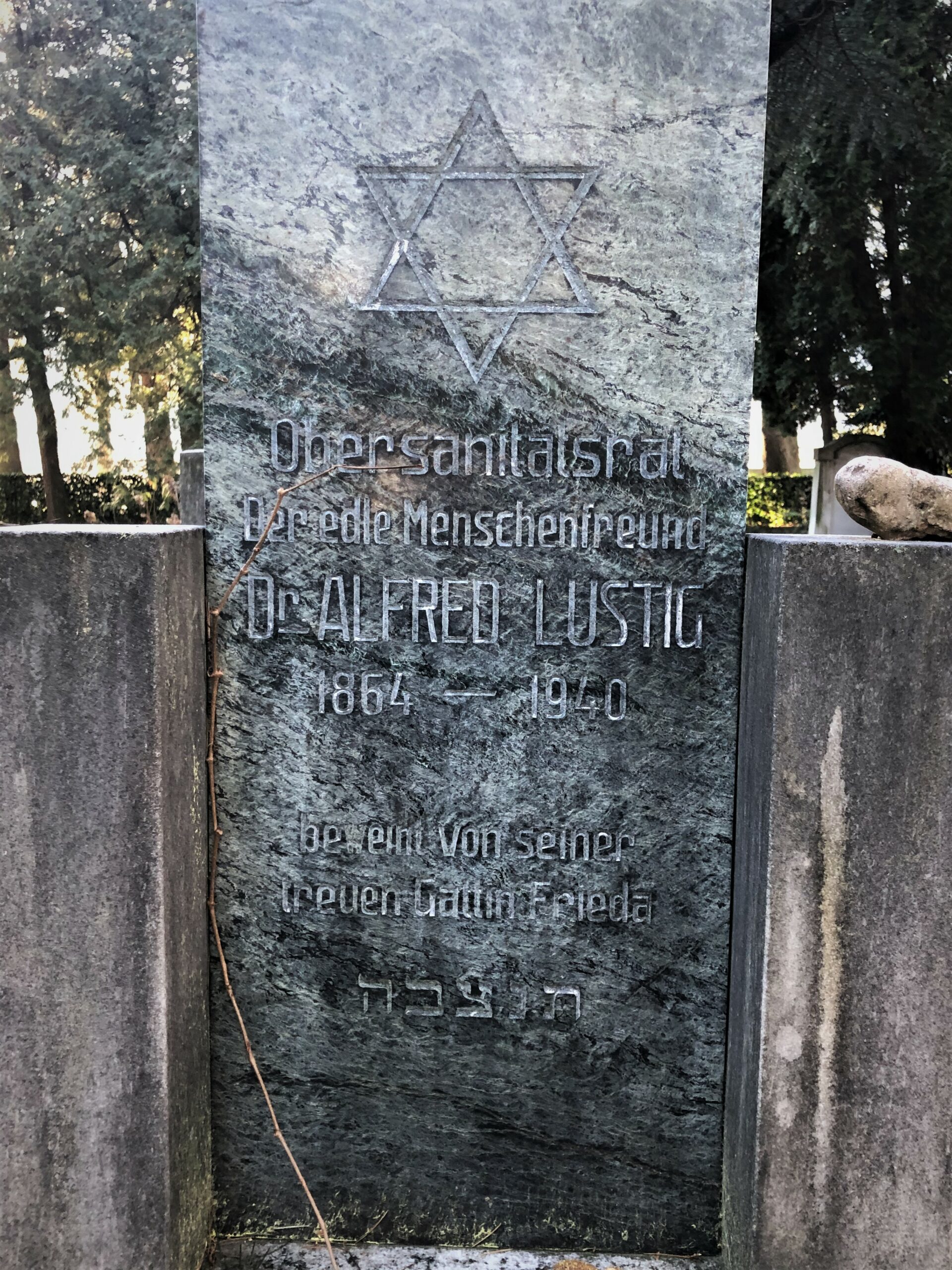 Grabstätte Dr. Alfred Lustig, Jüdischer Friedhof in Meran © Joachim Innerhofer, Jüdisches Museum Meran
